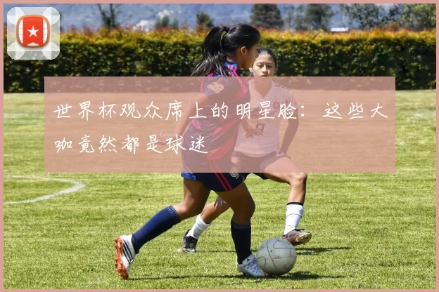 世界杯观众席上的明星脸:这些大咖竟然都是球迷