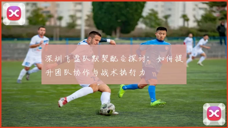 深圳飞盘队默契配合探讨:如何提升团队协作与战术执行力