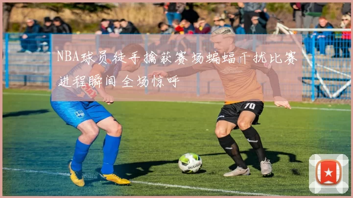 NBA球员徒手擒获赛场蝙蝠干扰比赛进程瞬间全场惊呼