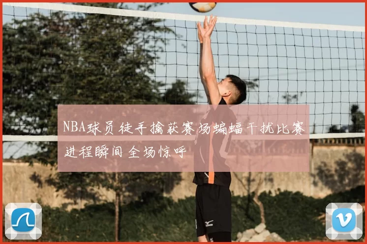 NBA球员徒手擒获赛场蝙蝠干扰比赛进程瞬间全场惊呼