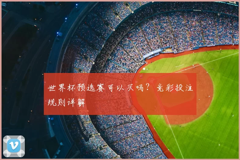 世界杯预选赛可以买吗?竞彩投注规则详解