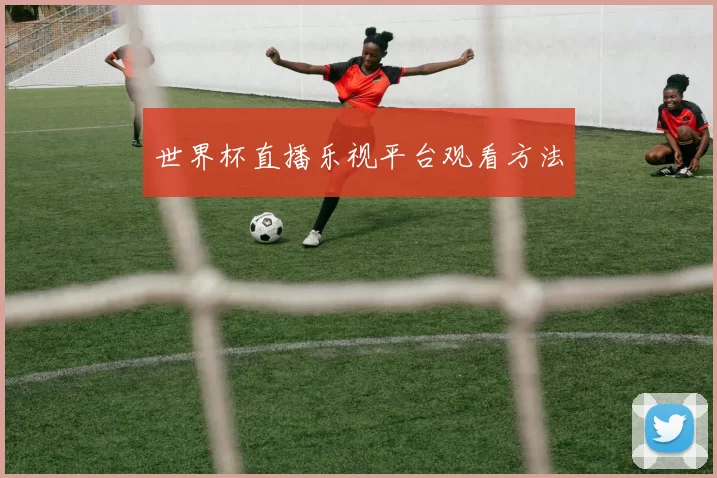 世界杯直播乐视平台观看方法