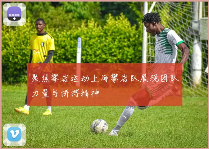 聚焦攀岩运动上海攀岩队展现团队力量与拼搏精神