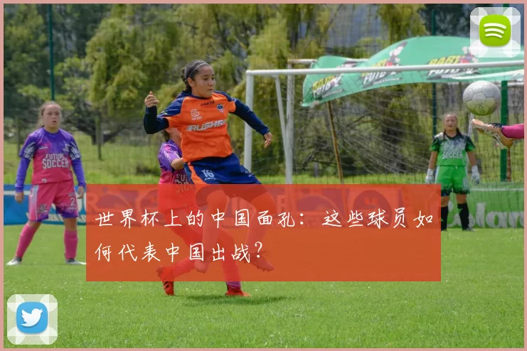 世界杯上的中国面孔：这些球员如何代表中国出战？