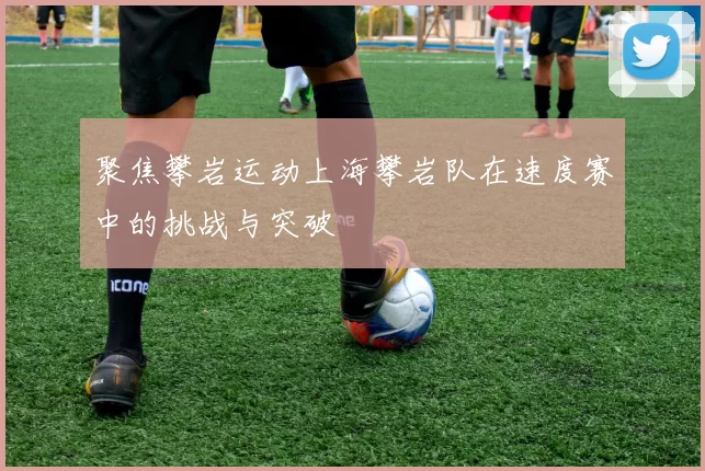 聚焦攀岩运动上海攀岩队在速度赛中的挑战与突破