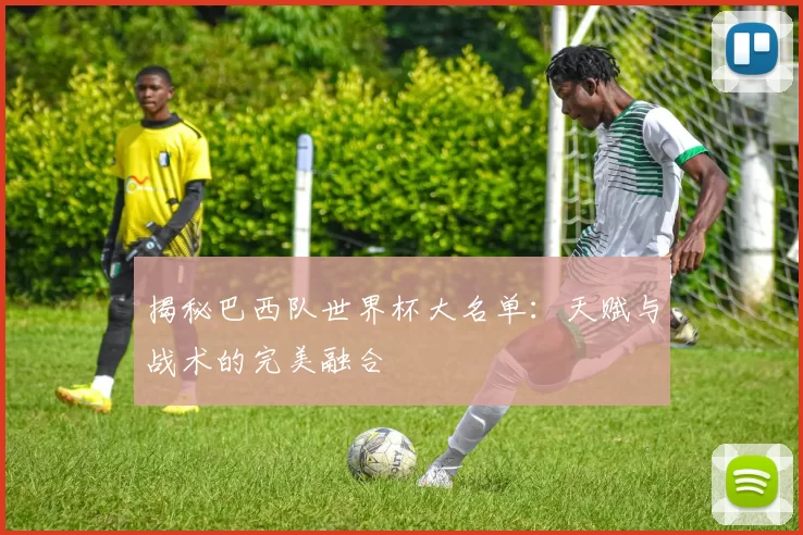 揭秘巴西队世界杯大名单:天赋与战术的完美融合