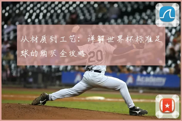 从材质到工艺:详解世界杯标准足球的购买全攻略
